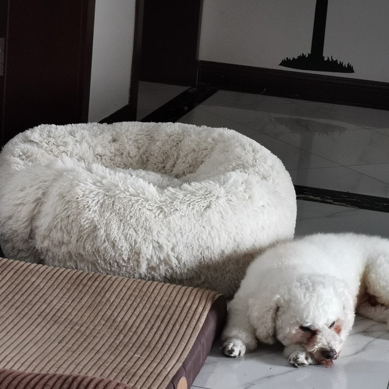 COZY Calming Pet Bed Snapitonline