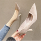 Stiletto Pointed Toe Spring Suede Pumps - Snapitonline