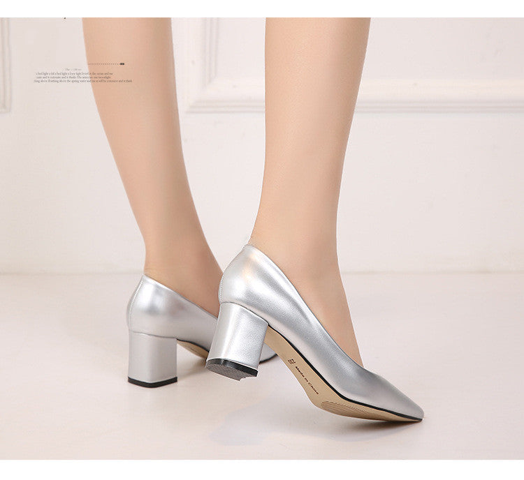 Pointed chunky heels - Snapitonline