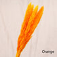 Reed dried flower home decoration - Snapitonline