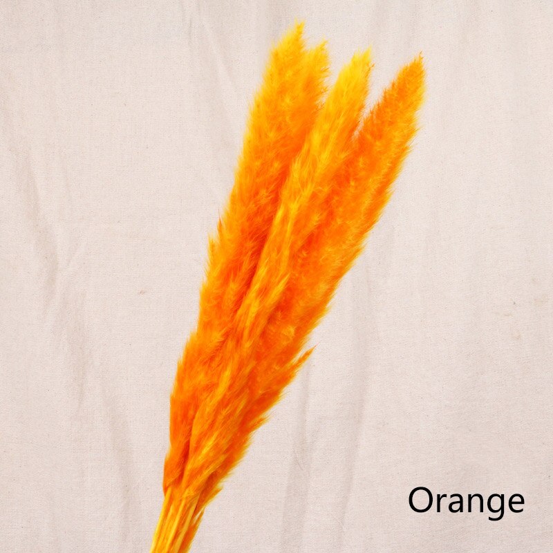 Reed dried flower home decoration - Snapitonline