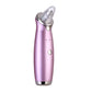 New Hot And Cold Facial Microcrystalline Ice Blackhead Meter - Snapitonline