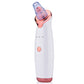 New Hot And Cold Facial Microcrystalline Ice Blackhead Meter - Snapitonline