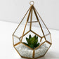 Home Succulent Decoration Bonsai - Snapitonline