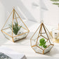 Home Succulent Decoration Bonsai - Snapitonline