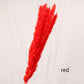 Reed dried flower home decoration - Snapitonline