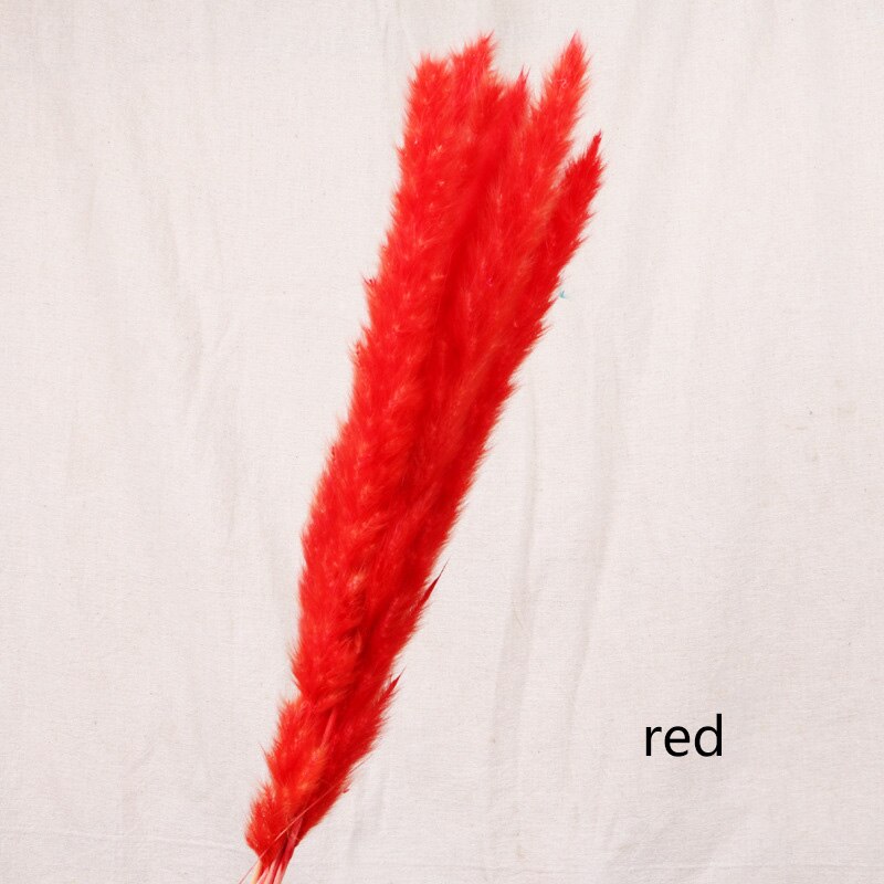 Reed dried flower home decoration - Snapitonline