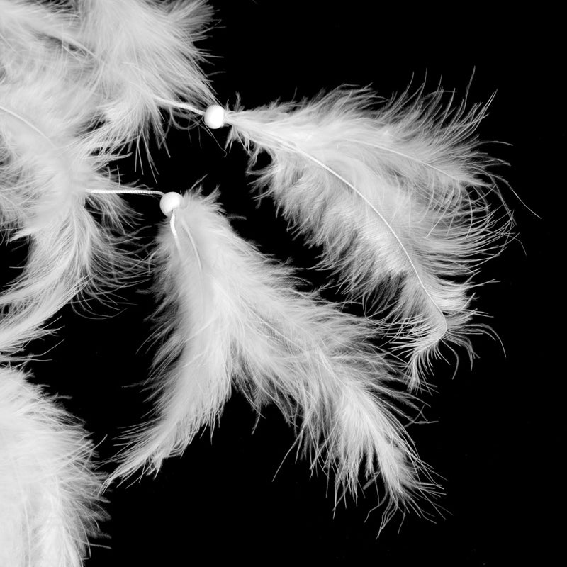 Home decorations feathers - Snapitonline