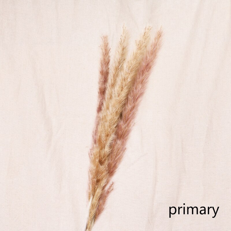 Reed dried flower home decoration - Snapitonline