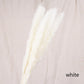 Reed dried flower home decoration - Snapitonline