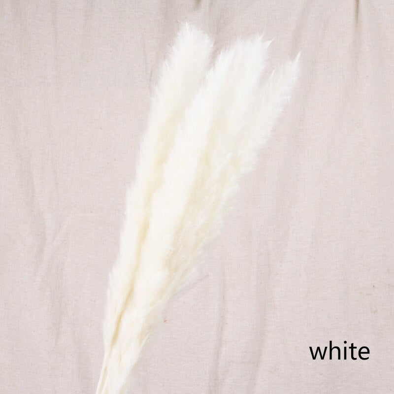Reed dried flower home decoration - Snapitonline