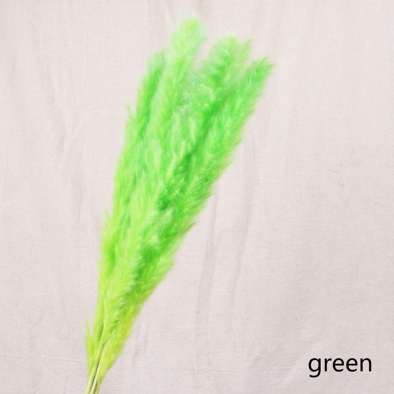 Reed dried flower home decoration - Snapitonline