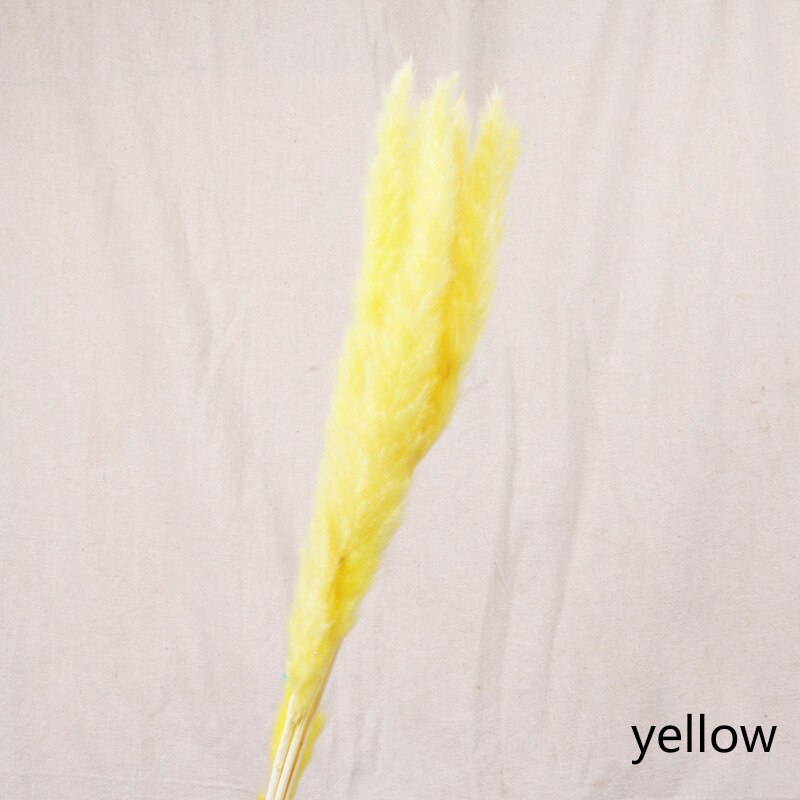 Reed dried flower home decoration - Snapitonline