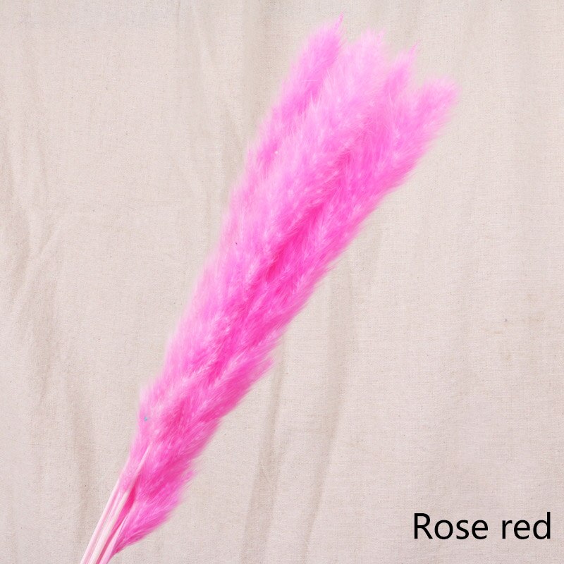 Reed dried flower home decoration - Snapitonline