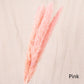 Reed dried flower home decoration - Snapitonline