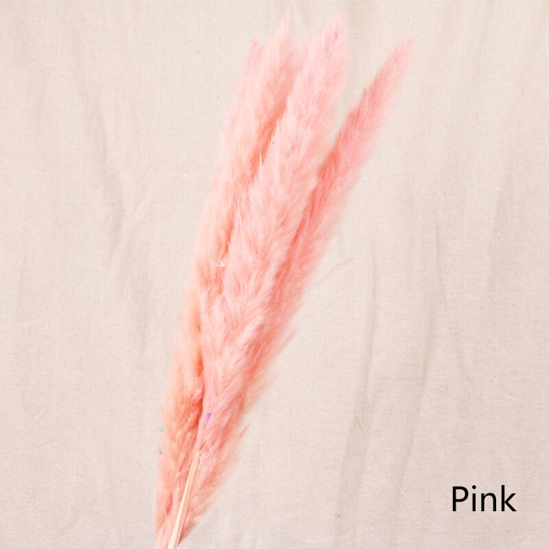 Reed dried flower home decoration - Snapitonline