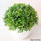 Artificial Plants Bonsai Small Tree Pot Fake Plant Flowers Potted Ornaments For Home Room Table Decoration Hotel Garden Decor Snapitonline