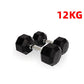 CANNON set hexagonal rubber gym weights 1 to 20 Kg men and women fitness training dumbbells Snapitonline
