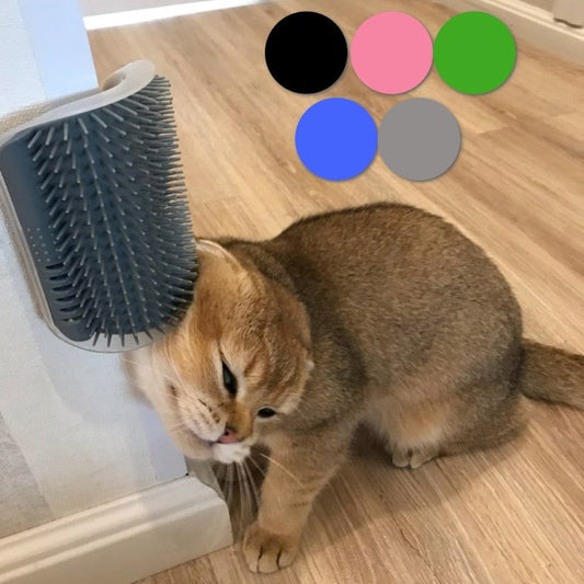 Cats Brush Corner Snapitonline