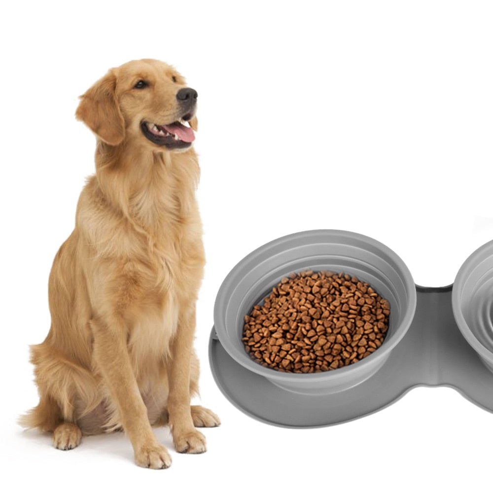 Collapsible Pet Food Bowl Snapitonline
