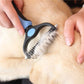 Deshedding Brush For Dogs And Cats Snapitonline