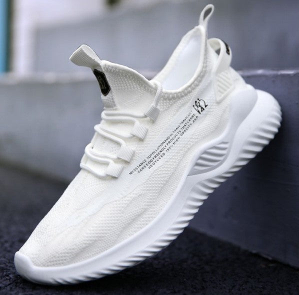 Explosive Style Men S Shoes Korean Net Shoes Cloth Shoes Snapitonline