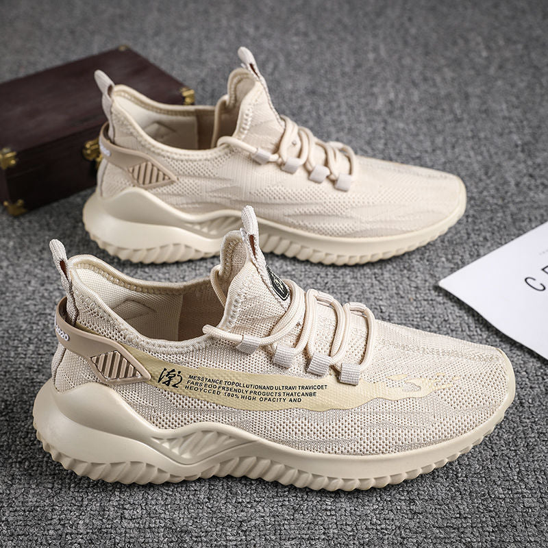 Explosive Style Men S Shoes Korean Net Shoes Cloth Shoes Snapitonline