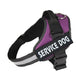 Personalized No Pull Dog Harness - Snapitonline