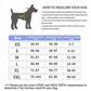 Personalized No Pull Dog Harness - Snapitonline