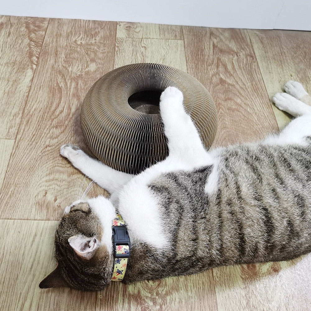 Magic Organ Cat Scratching Board - Snapitonline