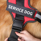 Personalized No Pull Dog Harness - Snapitonline