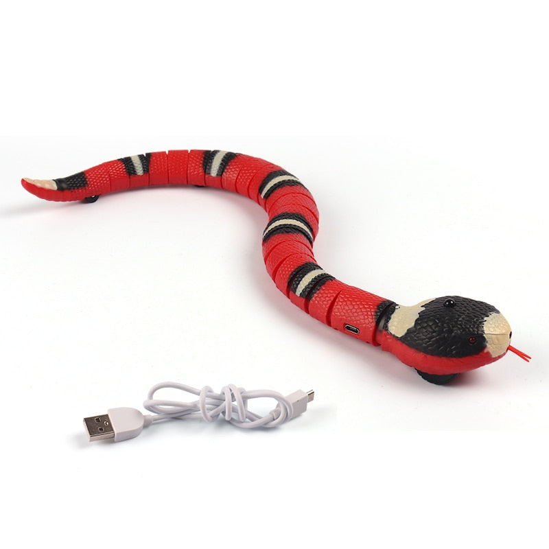 Interactive Cat Toy - Snapitonline