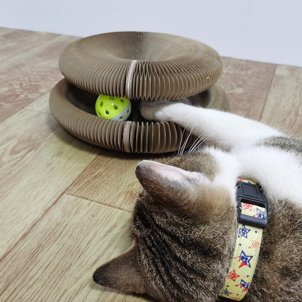 Magic Organ Cat Scratching Board - Snapitonline
