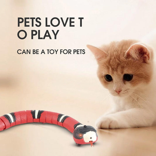 Interactive Cat Toy - Snapitonline
