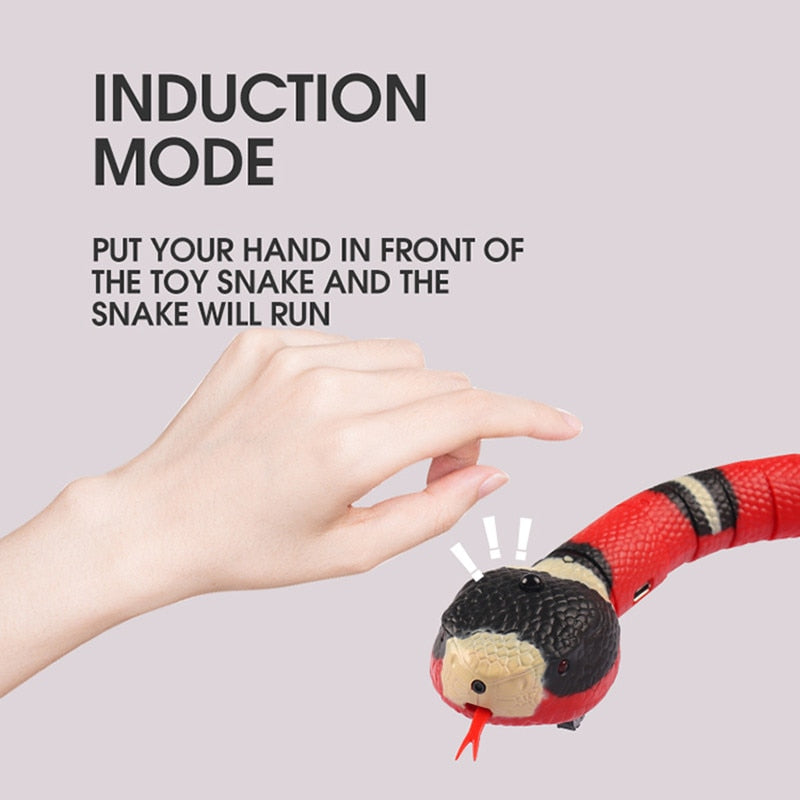 Interactive Cat Toy - Snapitonline
